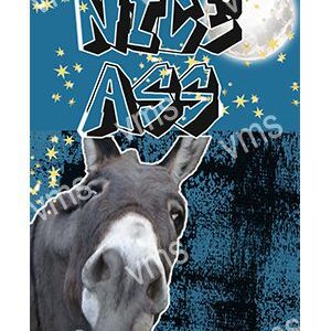 HHU768-NICE-ASS-8X12-WEB