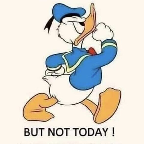 Donald Duck with humorous behavior quote.