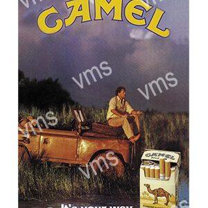 Vintage Camel cigarette ad featuring a man with a rifle by a truck at dusk.
