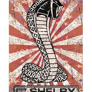 Stylized cobra with geometric patterns and 'SHELBY' text below.
