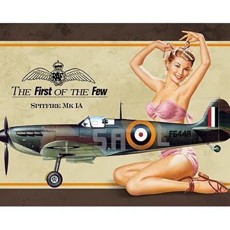 Vintage pin-up girl posing with a World War II fighter plane illustration.