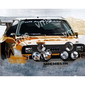 A rally car speeding on a dirt track kicking up dust.