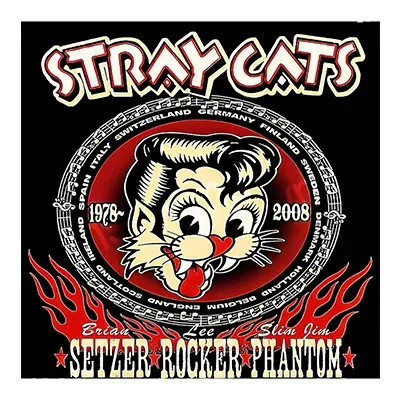Retro Stray Cats band logo with a cartoon cat and flames.